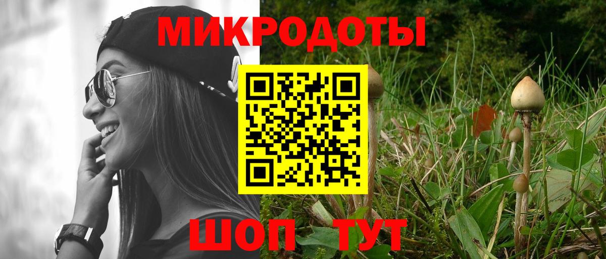 Псилоцибиновые грибы Cubensis  Галлюциногенные грибы Cubensis  Заводоуковск  Вход с VPN 